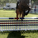 Leah Sorrell Photo 18