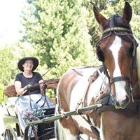 Linda Watkins Photo 24