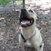 Rhonda Mix Photo 13