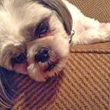 Christina Milam Photo 3