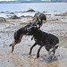 Josh Weeks Photo 34