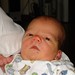 Jan Grabowski Photo 19