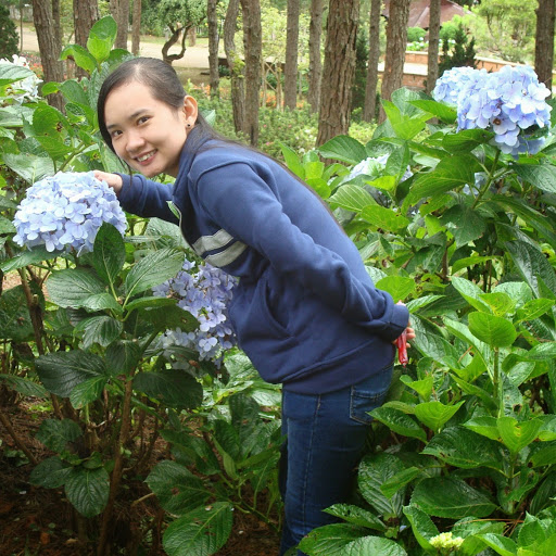 Phuong Tran Photo 15