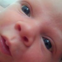 Joshua Fuqua Photo 18