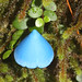 Stephen Matheson Photo 12