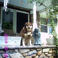 Patricia Poole Photo 46