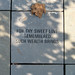 Stephen Thies Photo 17