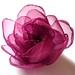 Ruby Flowers Photo 20