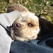 Sandy Shepherd Photo 23