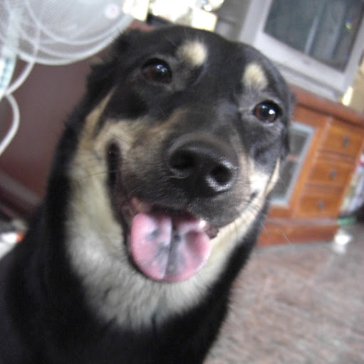 Hui Hui Photo 9
