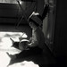 Julia Ball Photo 33