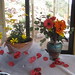 Sara Roberts Photo 5