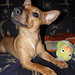 Jack Spaulding Photo 22