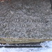 Ann Shattuck Photo 20