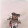 Debbie Horst Photo 15