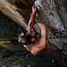 Vincent Rhode Photo 4
