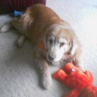 Susan Arnett Photo 35