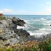 Elizabeth Head Photo 10