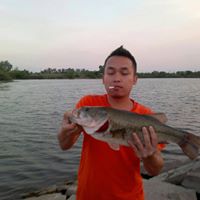 Bao Doan Photo 6