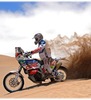 Mark Stewart Photo 46
