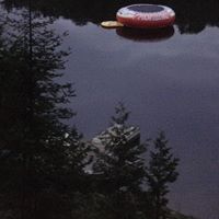 Lloyd Robbins Photo 9