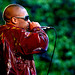 Forrest Wiley Photo 5