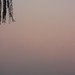 Chang Liang Photo 26