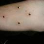 Mark Watts Photo 20