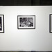 Edgar Cartwright Photo 6