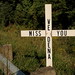 Dena Cross Photo 13