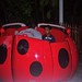 Shawn Anthony Photo 5