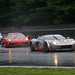 Timothy Robertson Photo 41
