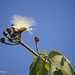Dawn Dore Photo 8