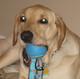 Tracy Stubbs Photo 9