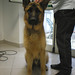 Ralph Perfetto Photo 8