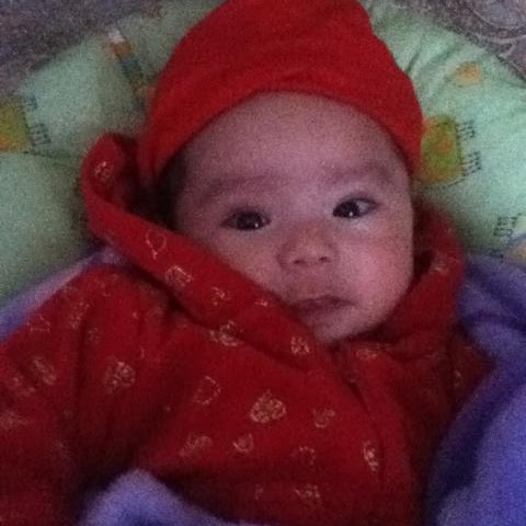 Luis Ledezma Photo 11