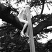 Francis Gray Photo 18