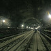Clifton Armstrong Photo 9
