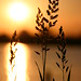 Patrick Marsh Photo 37