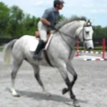 Sue Metzger Photo 18