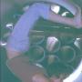 Patricia Dempsey Photo 17
