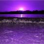 John Robichaud Photo 28