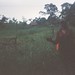 Kristin Wegner Photo 16