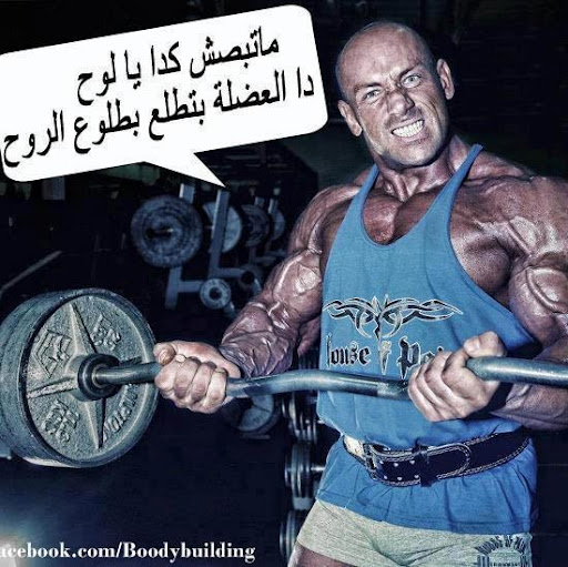 Mostafa Mohamed Photo 37