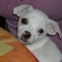 Cynthia Jamison Photo 16