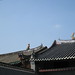Ting Lau Photo 11