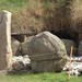 Susan Melcher Photo 12