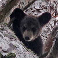 Deborah Barbee Photo 16