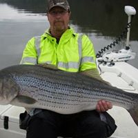 Greg Thacker Photo 15