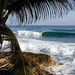 Steve Fitzpatrick Photo 13
